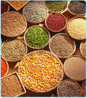 Indian spices